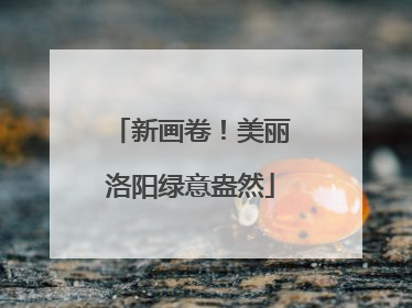 新画卷！美丽洛阳绿意盎然