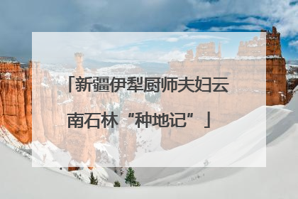 新疆伊犁厨师夫妇云南石林“种地记”