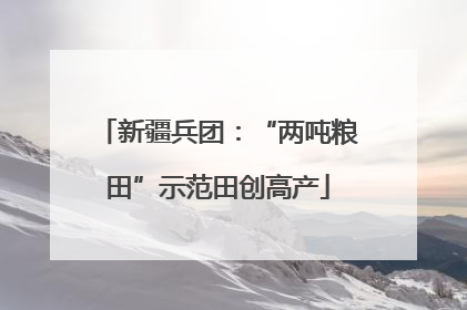 新疆兵团：“两吨粮田”示范田创高产