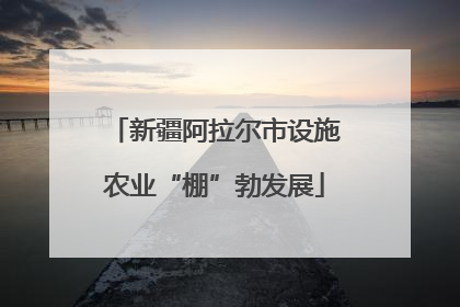 新疆阿拉尔市设施农业“棚”勃发展