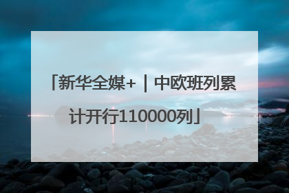新华全媒+｜中欧班列累计开行110000列