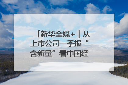 新华全媒+｜从上市公司一季报“含新量”看中国经济发展向“新”