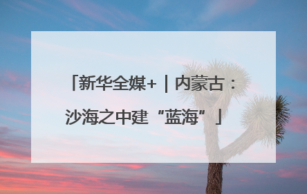 新华全媒+｜内蒙古：沙海之中建“蓝海”
