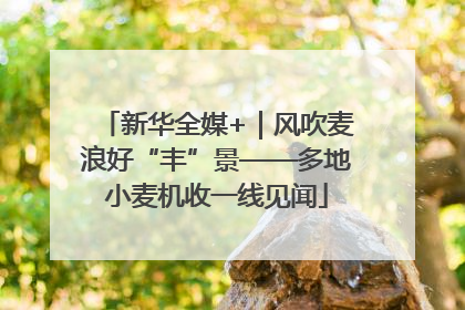 新华全媒+｜风吹麦浪好“丰”景——多地小麦机收一线见闻