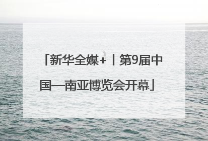 新华全媒+丨第9届中国—南亚博览会开幕