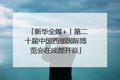 新华全媒+丨第二十届中国西部国际博览会在成都开幕