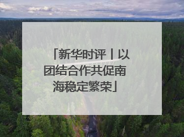 新华时评丨以团结合作共促南海稳定繁荣