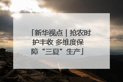 新华视点｜抢农时 护丰收 多维度保障“三夏”生产