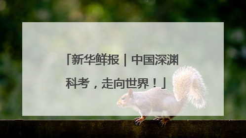 新华鲜报｜中国深渊科考，走向世界！
