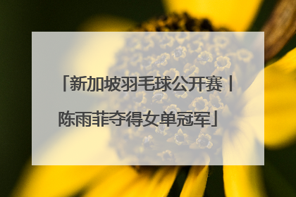 新加坡羽毛球公开赛丨陈雨菲夺得女单冠军