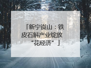 新宁崀山：铁皮石斛产业绽放“花经济”