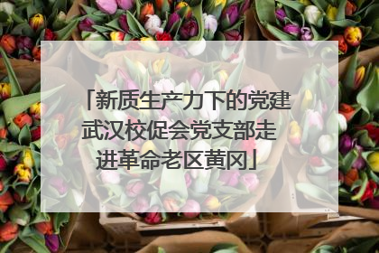 新质生产力下的党建 武汉校促会党支部走进革命老区黄冈