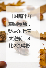 时隔半年重回赛场，樊振东上演大逆转，3比2徐瑛彬