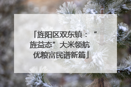 旌阳区双东镇：“旌益态”大米领航 优粮富民谱新篇