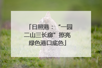日照港：“一园二山三长廊”擦亮绿色港口底色