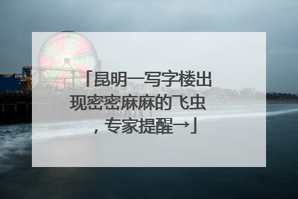昆明一写字楼出现密密麻麻的飞虫，专家提醒→