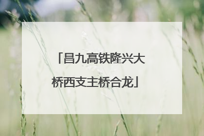 昌九高铁隆兴大桥西支主桥合龙
