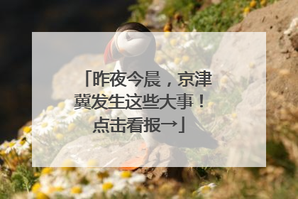昨夜今晨，京津冀发生这些大事！点击看报→