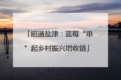 昭通盐津：蓝莓“串”起乡村振兴增收链