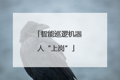 智能巡逻机器人“上岗”