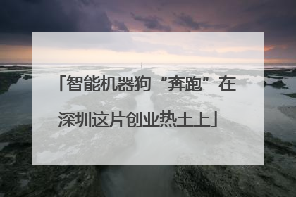 智能机器狗“奔跑”在深圳这片创业热土上