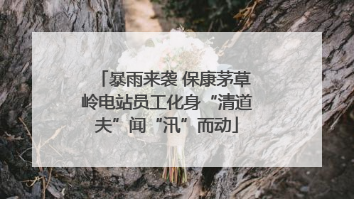 暴雨来袭 保康茅草岭电站员工化身“清道夫”闻“汛”而动