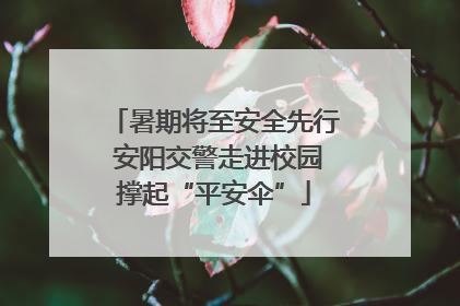 暑期将至安全先行 安阳交警走进校园撑起“平安伞”