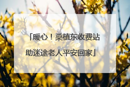 暖心！桑植东收费站助迷途老人平安回家