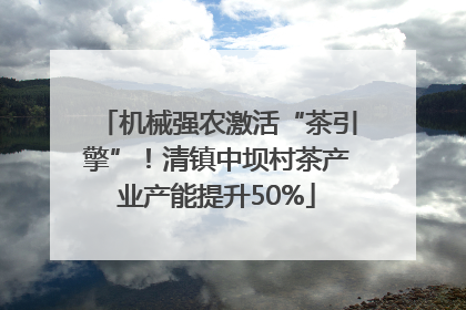 机械强农激活“茶引擎”！清镇中坝村茶产业产能提升50%