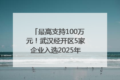最高支持100万元！武汉经开区5家企业入选2025年度武汉市重点研发计划拟立项项目名单