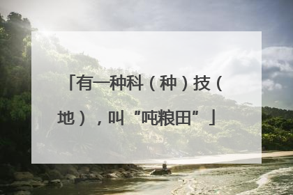 有一种科（种）技（地），叫“吨粮田”