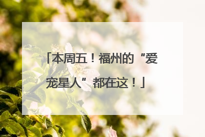 本周五！福州的“爱宠星人”都在这！