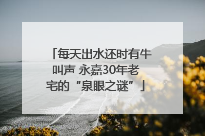 每天出水还时有牛叫声 永嘉30年老宅的“泉眼之谜”