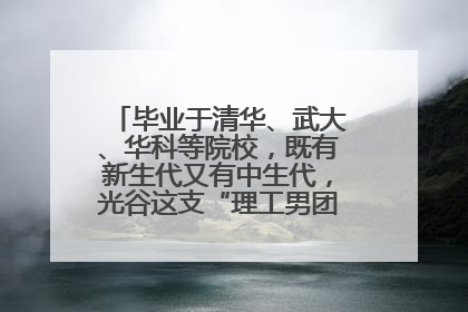 毕业于清华、武大、华科等院校，既有新生代又有中生代，光谷这支“理工男团”为何“出道”？