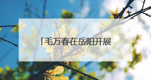 毛万春在岳阳开展专题调研 持续助推文科旅融合发展