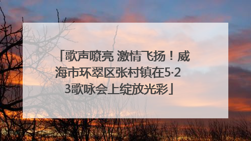 歌声嘹亮 激情飞扬！威海市环翠区张村镇在5·23歌咏会上绽放光彩