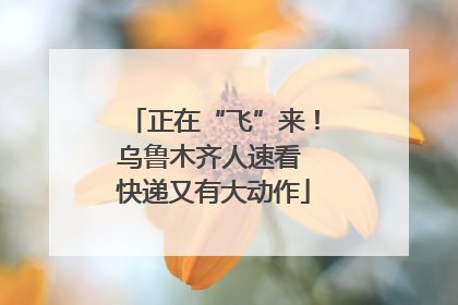 正在“飞”来！乌鲁木齐人速看 快递又有大动作