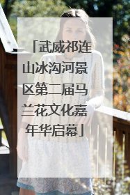 武威祁连山冰沟河景区第二届马兰花文化嘉年华启幕
