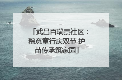武昌百瑞景社区：粽意童行庆双节 护苗传承筑家园