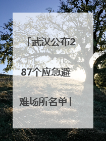 武汉公布287个应急避难场所名单