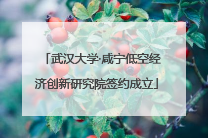武汉大学·咸宁低空经济创新研究院签约成立