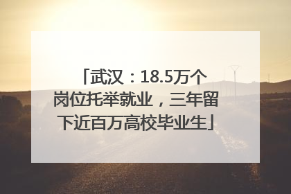 武汉：18.5万个岗位托举就业，三年留下近百万高校毕业生