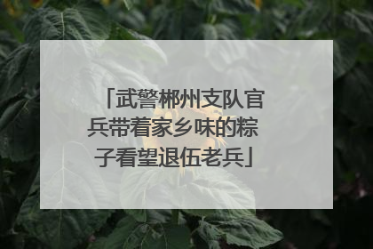 武警郴州支队官兵带着家乡味的粽子看望退伍老兵