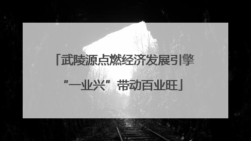 武陵源点燃经济发展引擎 “一业兴”带动百业旺