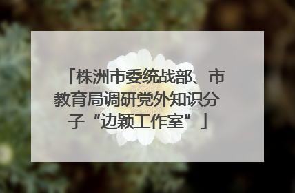 株洲市委统战部、市教育局调研党外知识分子“边颖工作室”