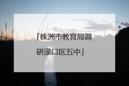 株洲市教育局调研渌口区五中
