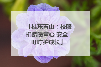 桂东青山：校服捐赠暖童心 安全叮咛护成长