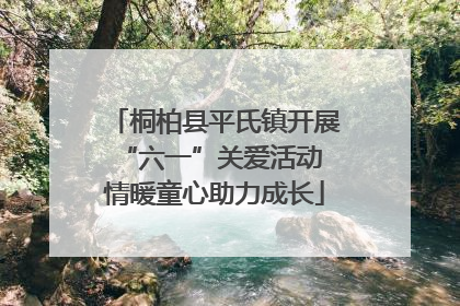 桐柏县平氏镇开展“六一”关爱活动 情暖童心助力成长