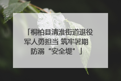 桐柏县清淮街道退役军人勇担当 筑牢暑期防溺“安全堤”
