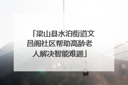 梁山县水泊街道文昌阁社区帮助高龄老人解决智能难题